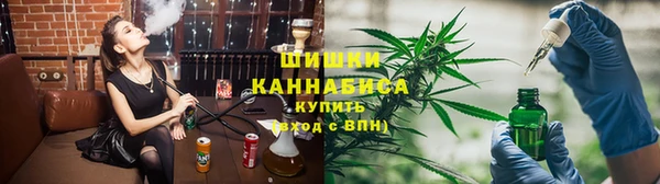 прущие грибы Карпинск