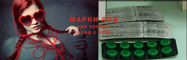 прущие грибы Карпинск