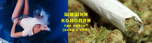 прущие грибы Карпинск