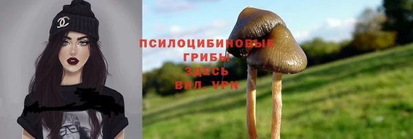 прущие грибы Карпинск