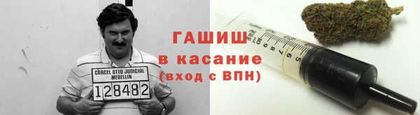 прущие грибы Карпинск