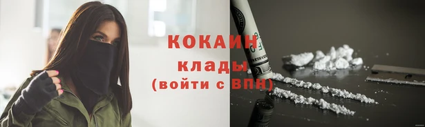 прущие грибы Карпинск