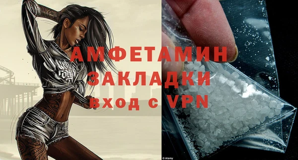 прущие грибы Карпинск